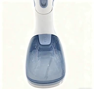 Steam Iron